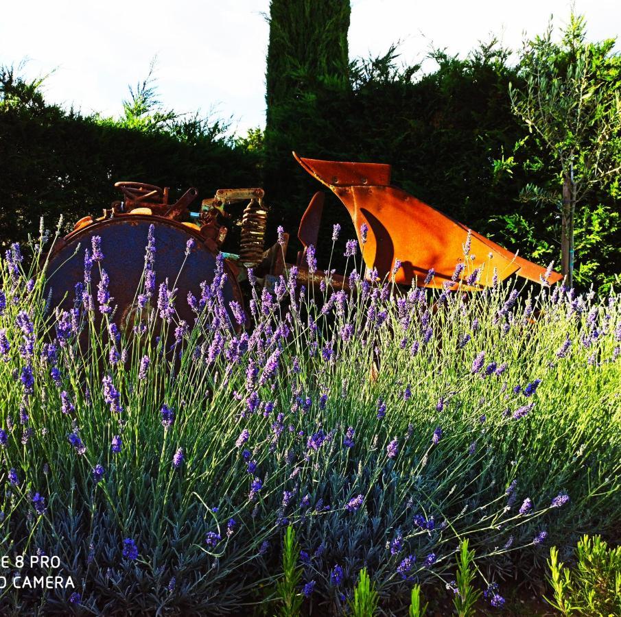 Rocca Degli Olivi Bed & Breakfast San Gimignano Luaran gambar