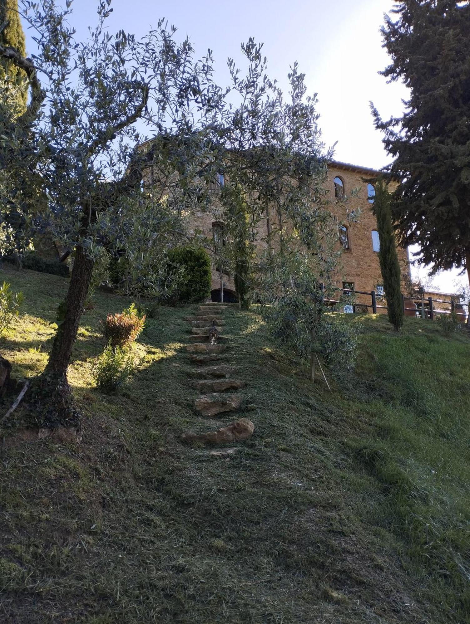 Rocca Degli Olivi Bed & Breakfast San Gimignano Luaran gambar