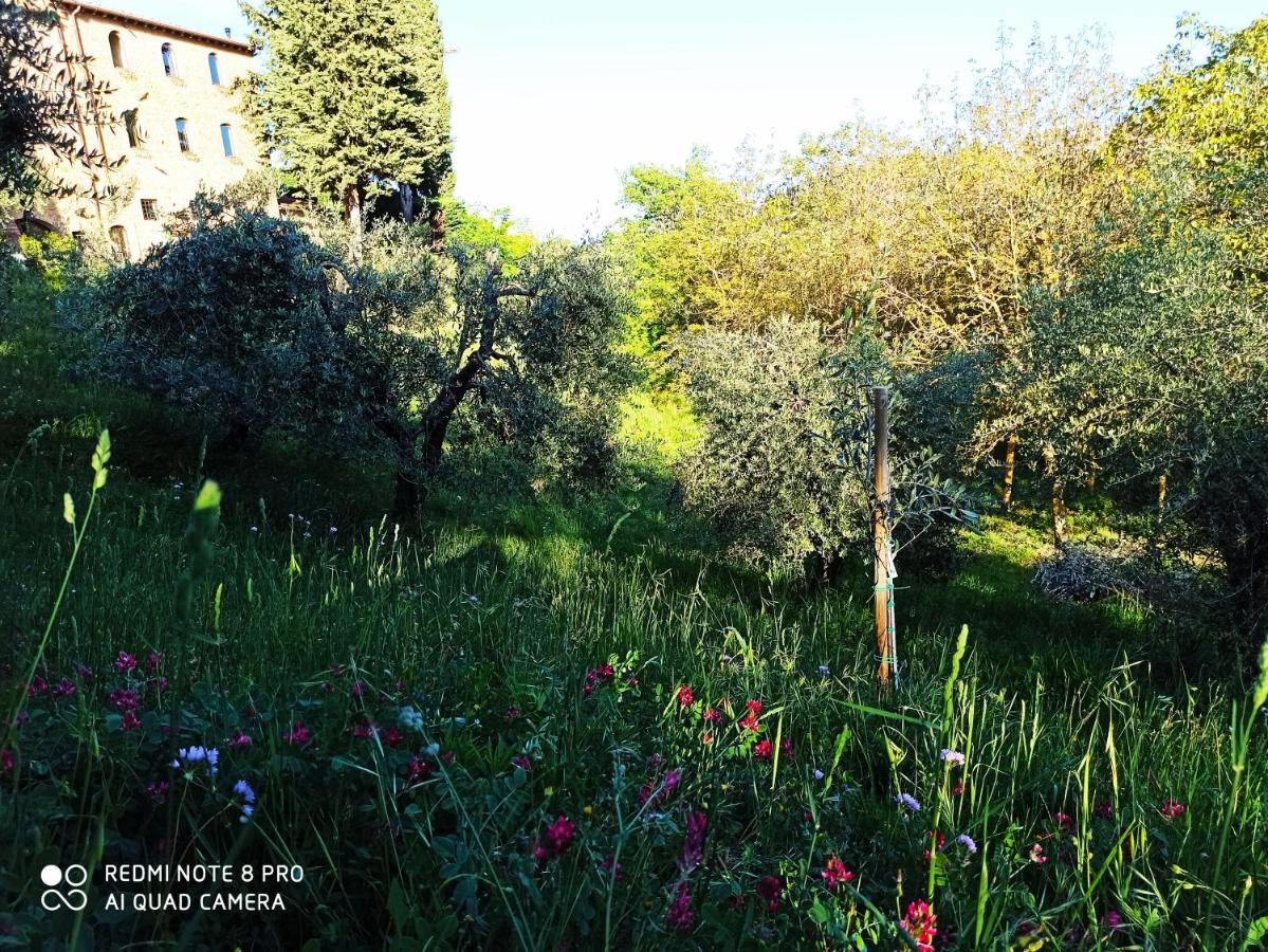 Rocca Degli Olivi Bed & Breakfast San Gimignano Luaran gambar