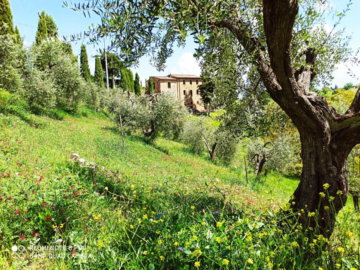 Rocca Degli Olivi Bed & Breakfast San Gimignano Luaran gambar